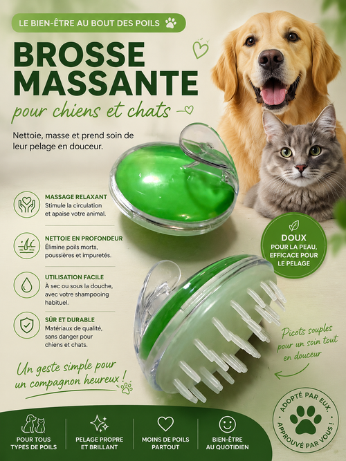 Brosse de massage silicone pour animaux - gros plan sur les picots en silicone
